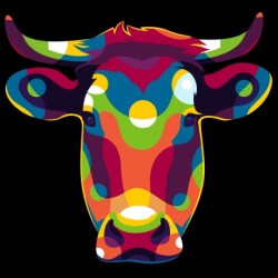 The Cow Portrait